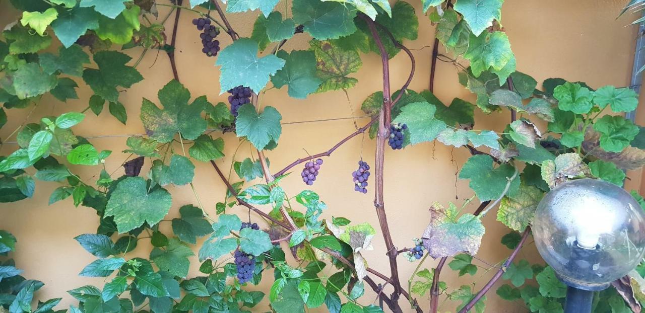 Casa Vacanze Rose E Fiori Sardegna San Vito  Zewnętrze zdjęcie